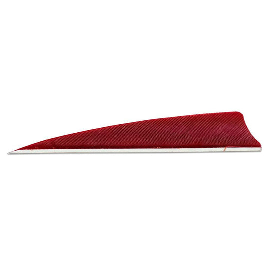 Skylon Feathers 4in RW - Shield - Solid (pk/24)