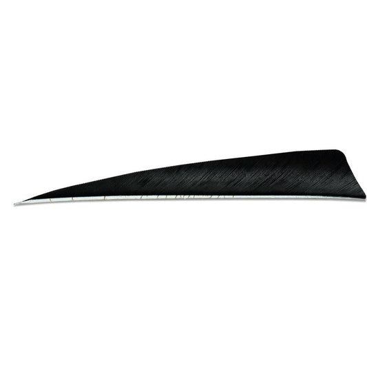 Skylon Feathers 5in RW - Shield - Solid (pk/24)