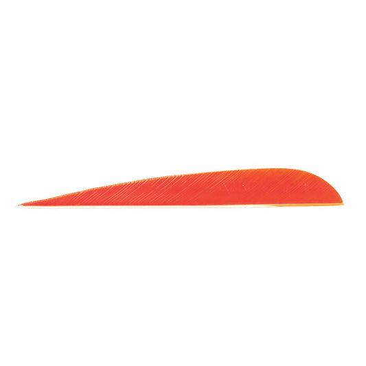 Trueflight Feathers 5in Parabolic (pk/50)